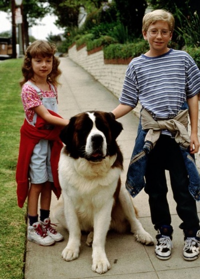 无敌当家2剧照的剧照