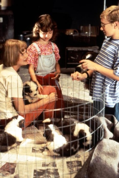 无敌当家2剧照的剧照