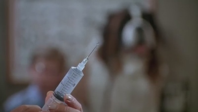 无敌当家剧照的剧照