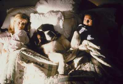 无敌当家剧照的剧照