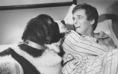 无敌当家剧照的剧照