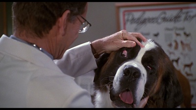 无敌当家剧照的剧照