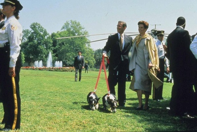 雾水总统剧照的剧照