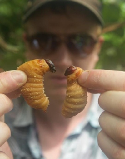 虫食特工队剧照的剧照