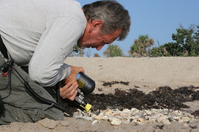 海龟奇妙之旅剧照的剧照