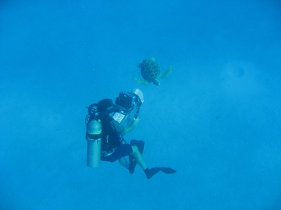 海龟奇妙之旅剧照的剧照