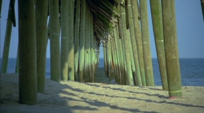 海龟剧照的剧照