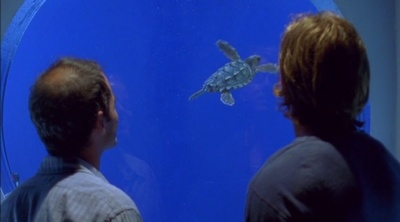 海龟剧照的剧照