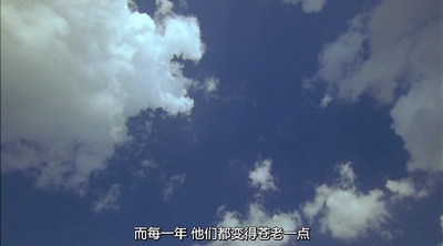 海龟剧照的剧照