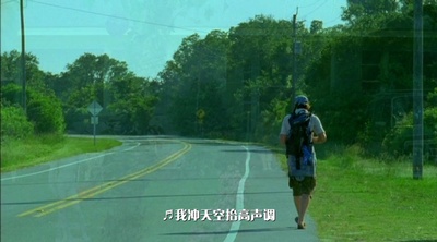 海龟剧照的剧照