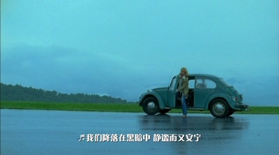 海龟剧照的剧照