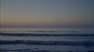 海龟剧照的剧照