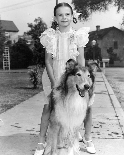 浮木剧照的剧照