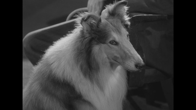 浮木剧照的剧照