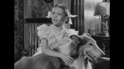 浮木剧照的剧照