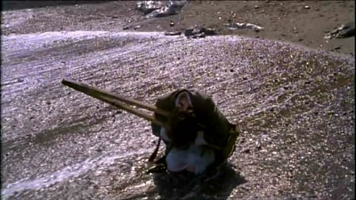 飘零孽恋剧照的剧照