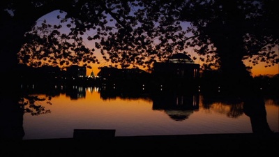 糊涂侦探：失控的布鲁斯和洛伊德剧照的剧照