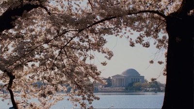 糊涂侦探：失控的布鲁斯和洛伊德剧照的剧照