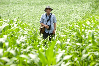 观鸟大年剧照的剧照