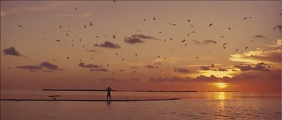 观鸟大年剧照的剧照