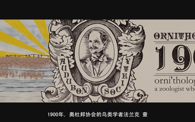 观鸟大年剧照的剧照