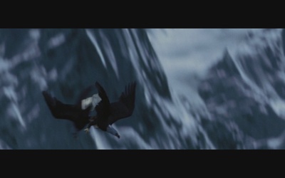 观鸟大年剧照的剧照