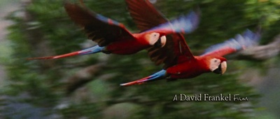 观鸟大年剧照的剧照