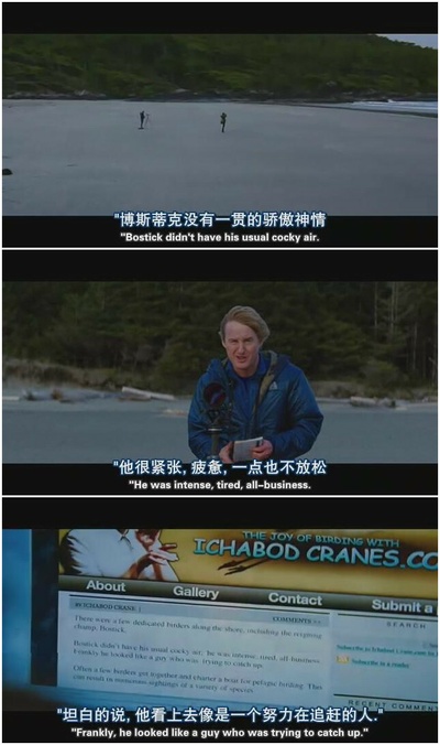 观鸟大年剧照的剧照