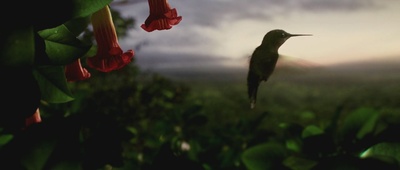 观鸟大年剧照的剧照