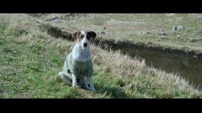 波浪预报剧照的剧照