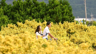 波浪预报剧照的剧照