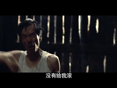 拉贝日记剧照的剧照