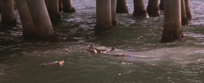 城市英雄剧照的剧照