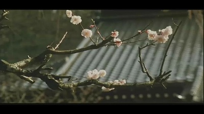 隐剑鬼爪剧照的剧照