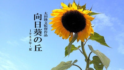 向日葵之丘·1983年夏剧照的剧照