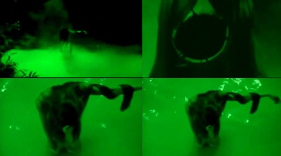 生灵剧照的剧照