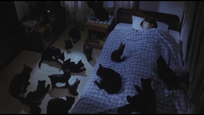 咒怨剧照的剧照