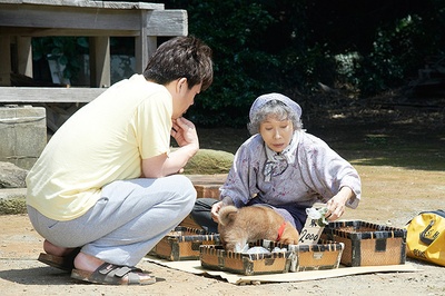 豆柴小犬 望乡篇 电影版剧照的剧照