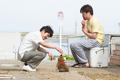 豆柴小犬 望乡篇 电影版剧照的剧照