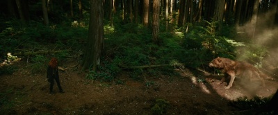 暮光之城2：新月剧照的剧照