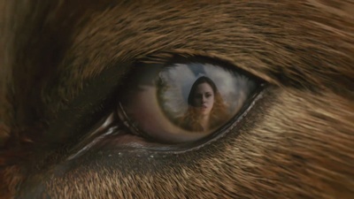 暮光之城2：新月剧照的剧照