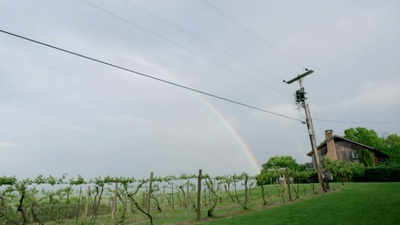 空姐刑警：纽约杀人案剧照的剧照