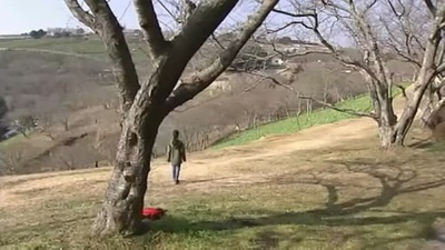厨房大战剧照的剧照