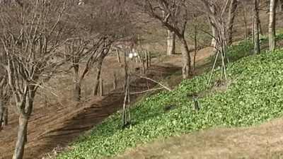 厨房大战剧照的剧照
