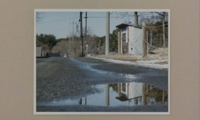 铁线蕨青剧照的剧照