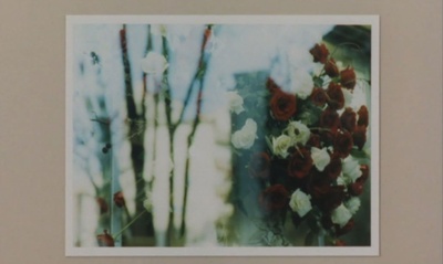 铁线蕨青剧照的剧照