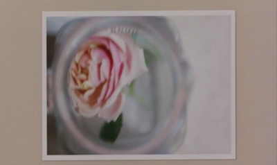 铁线蕨青剧照的剧照