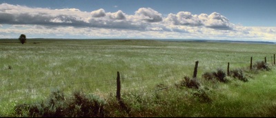 马语者剧照的剧照