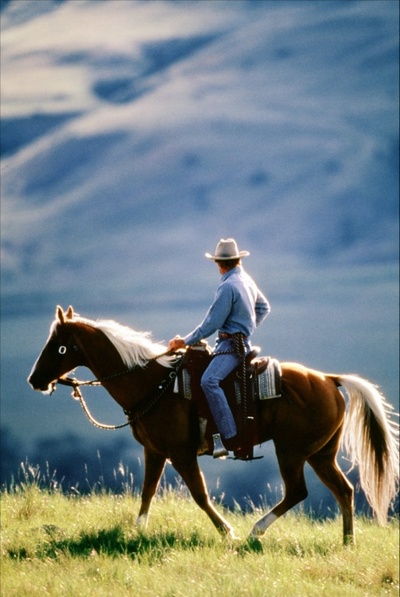 马语者剧照的剧照