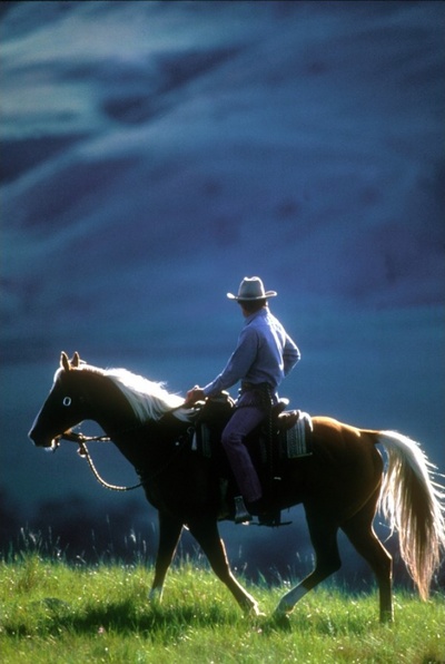 马语者剧照的剧照